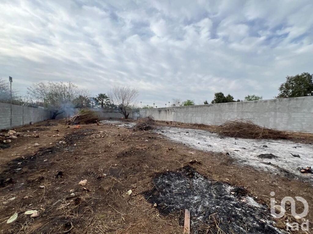 Terreno en Renta Fraccionamiento Almaguer Reynosa Tamaulipas