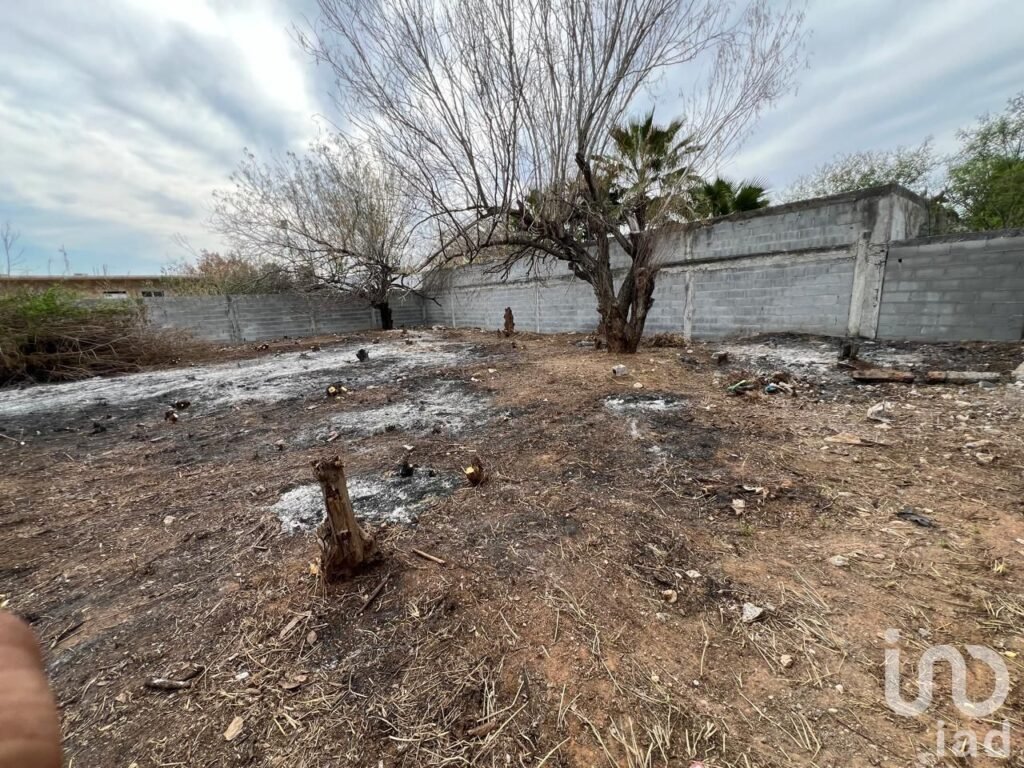 Terreno en Renta Fraccionamiento Almaguer Reynosa Tamaulipas