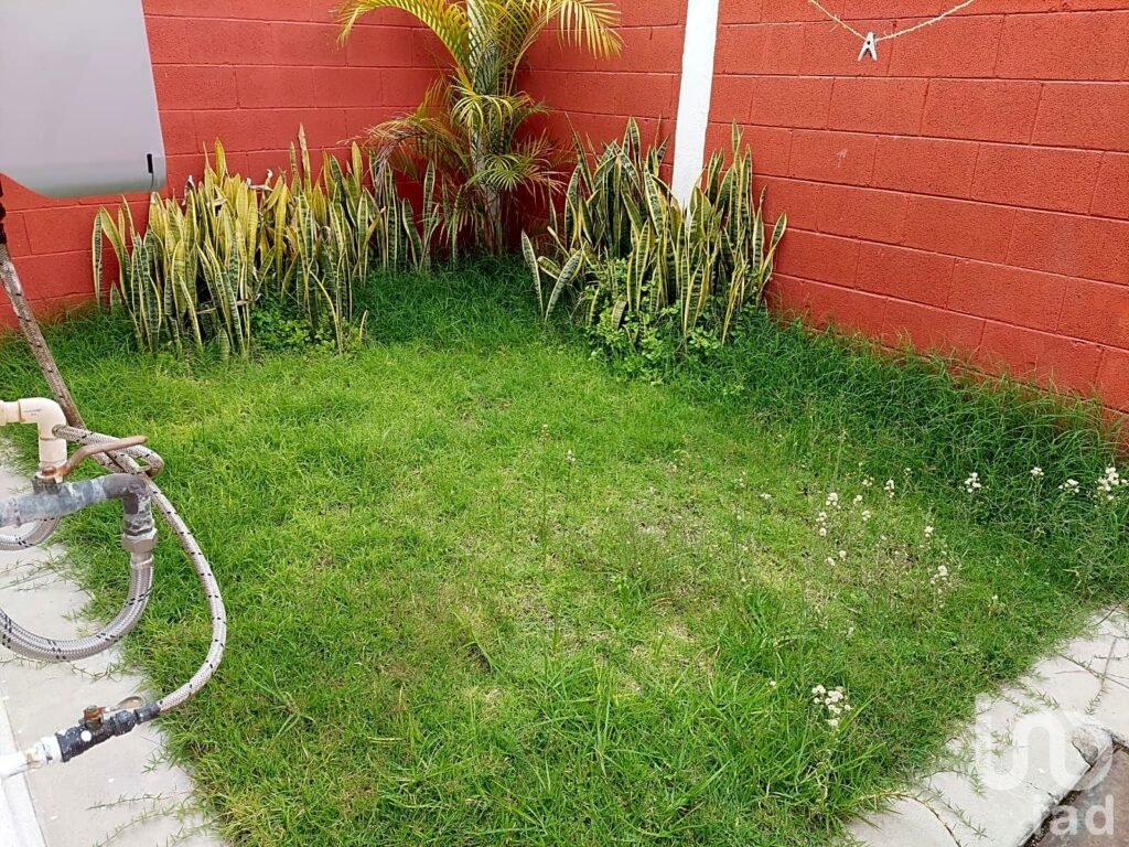 Casa en Renta en Fraccionamiento el Mirador