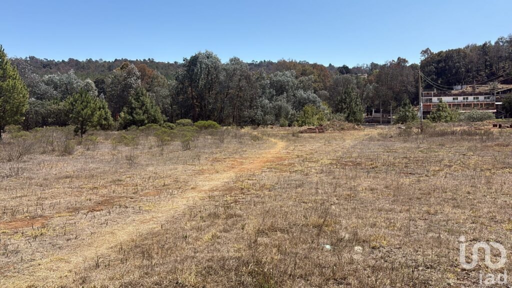TERRENO EN VENTA EN SAN PEDRO TLACHICHILCO, MUNICIPIO DE ACAXOCHITLAN, HGO.