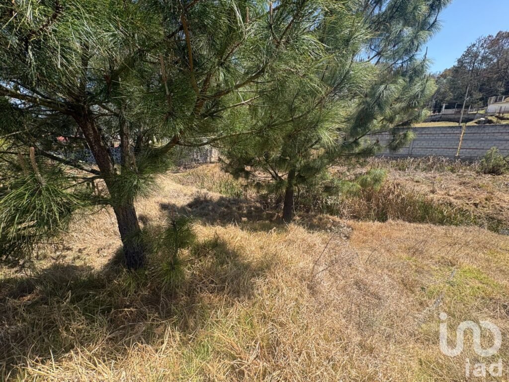 TERRENO EN VENTA EN SAN PEDRO TLACHICHILCO, MUNICIPIO DE ACAXOCHITLAN, HGO.