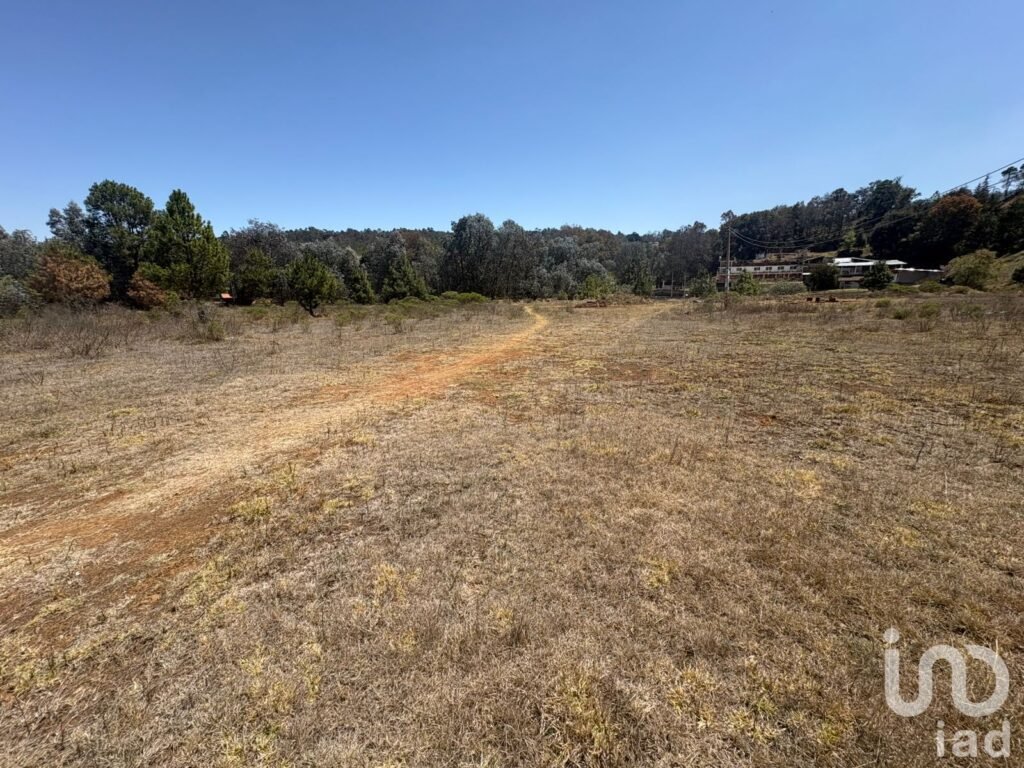 TERRENO EN VENTA EN SAN PEDRO TLACHICHILCO, MUNICIPIO DE ACAXOCHITLAN, HGO.