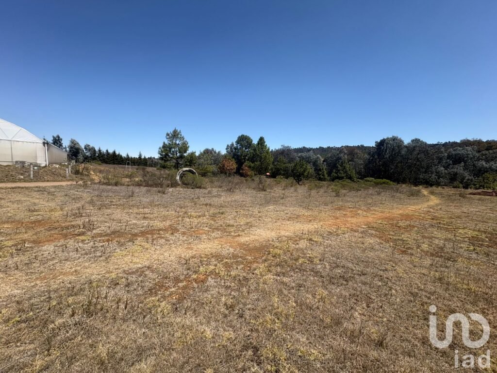 TERRENO EN VENTA EN SAN PEDRO TLACHICHILCO, MUNICIPIO DE ACAXOCHITLAN, HGO.