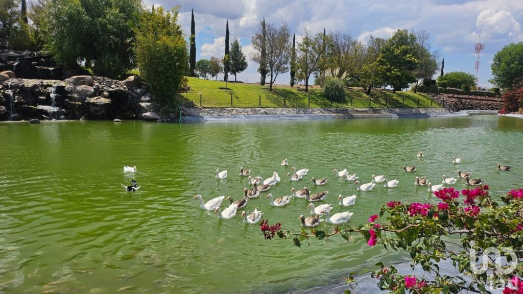 Terreno escriturado en Faro de los Cisnes Primera Etapa ¡Listo para construir!