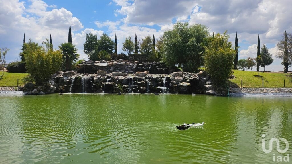 Terreno escriturado en Faro de los Cisnes Primera Etapa ¡Listo para construir!