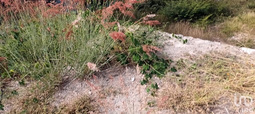 TERRENO PANORÁMICO EN HUERTAS DE AGUA DULCE EN TLALTIZAPAN, MORELOS.