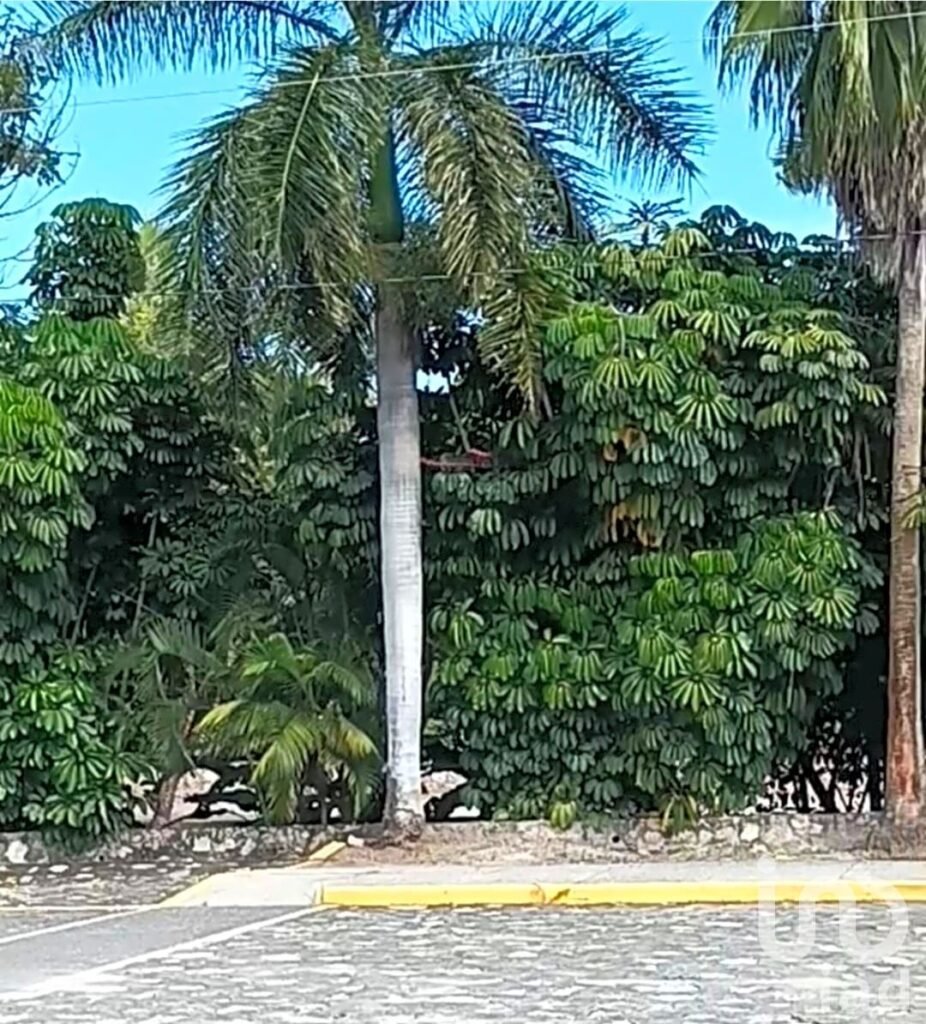 TERRENO PANORÁMICO EN HUERTAS DE AGUA DULCE EN TLALTIZAPAN, MORELOS.
