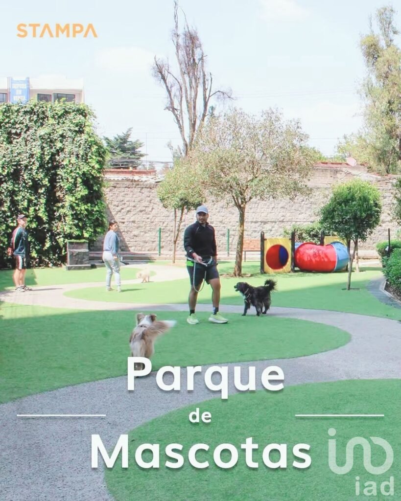 Renta Departamento 1 recamara y 2 balcónes con vista espectacular