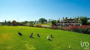 Terreno Venta Querétaro para ocupar tu Crédito Hipotecario o Infonavit, Fracc. El Faro de los Cisnes