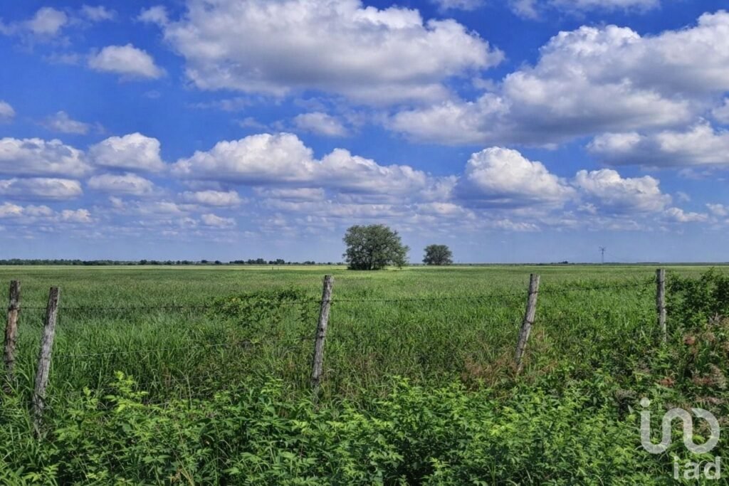 Excelente Oportunidad de Inversión 31 Has de Terreno en El Fraile, Montemorelos, N.L.