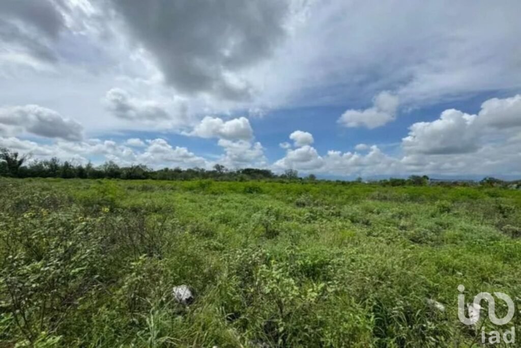 Excelente Oportunidad de Inversión 31 Has de Terreno en El Fraile, Montemorelos, N.L.