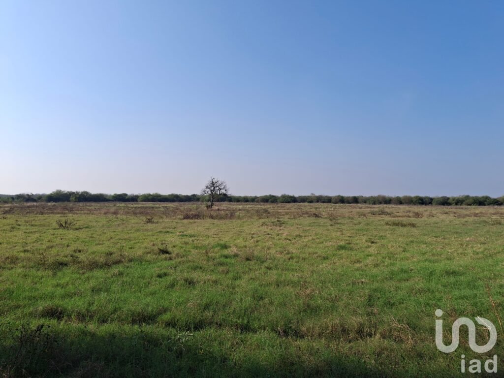 Excelente Oportunidad de Inversión 31 Has de Terreno en El Fraile, Montemorelos, N.L.