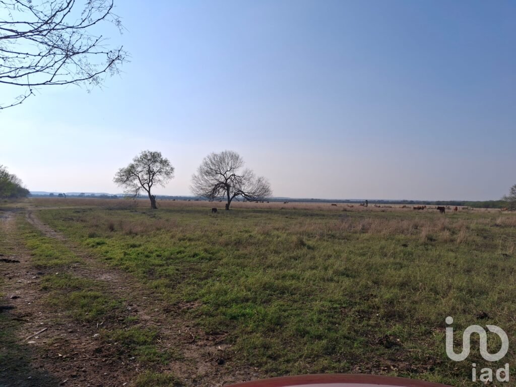 Excelente Oportunidad de Inversión 31 Has de Terreno en El Fraile, Montemorelos, N.L.