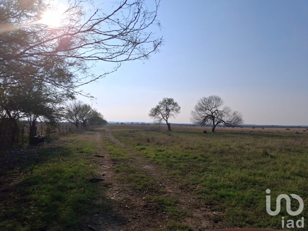 Excelente Oportunidad de Inversión 31 Has de Terreno en El Fraile, Montemorelos, N.L.