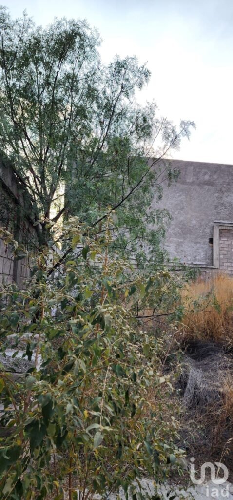 VENTA DE TERRENO BARDEADO EN ACOZAC IXTAPALUCA EDO DE MEXICO