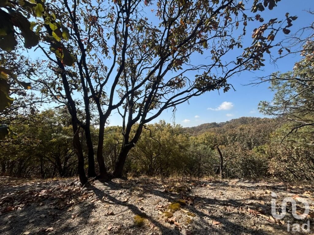 SE VENDE HECTAREA DENTRO DEL BOSQUE DE LA PRIMAVERA PROLONGACION MARIANO OTERO EN GUADALAJARA