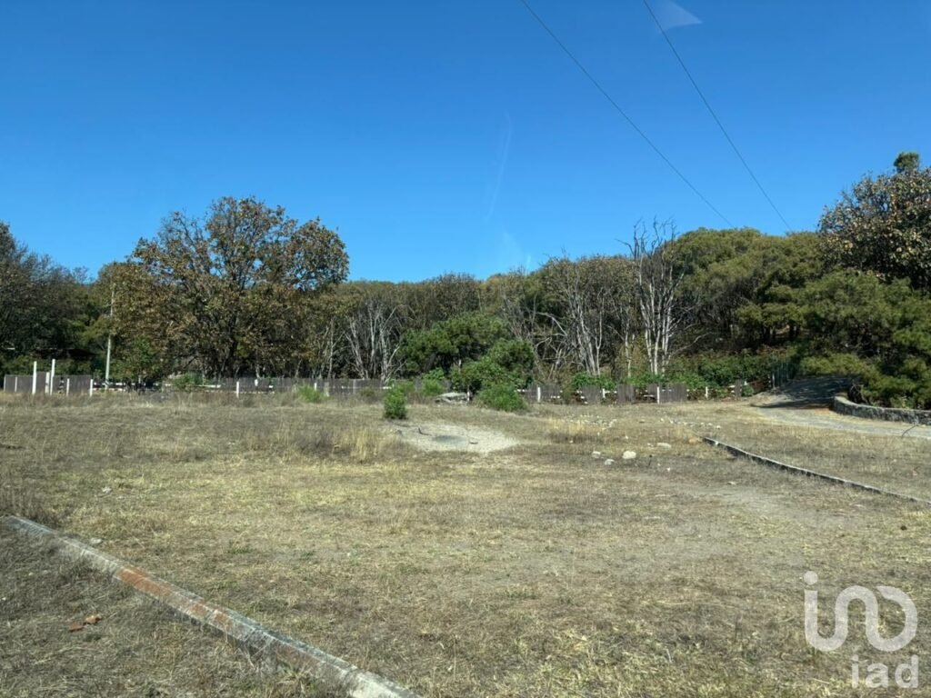 SE VENDE HECTAREA DENTRO DEL BOSQUE DE LA PRIMAVERA PROLONGACION MARIANO OTERO EN GUADALAJARA