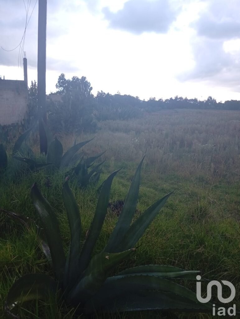 Venta de terreno a pie de carretera en Otumba, Edo. Mex.