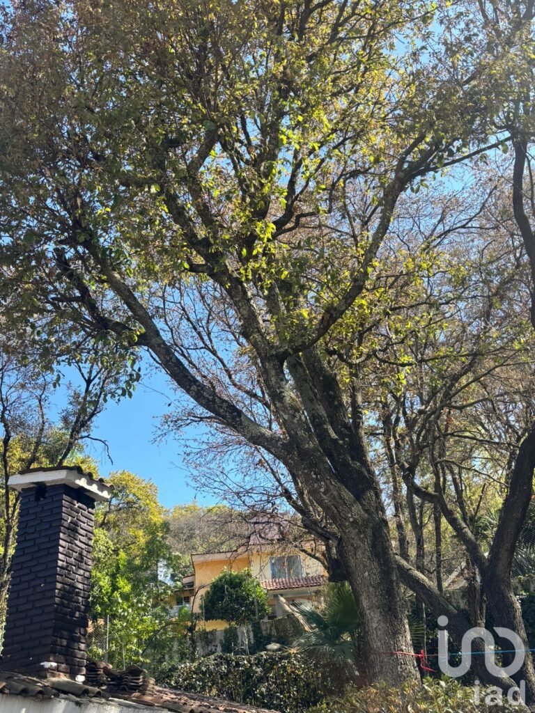 Casa en renta en el fraccionamiento Condado de Sayavedra