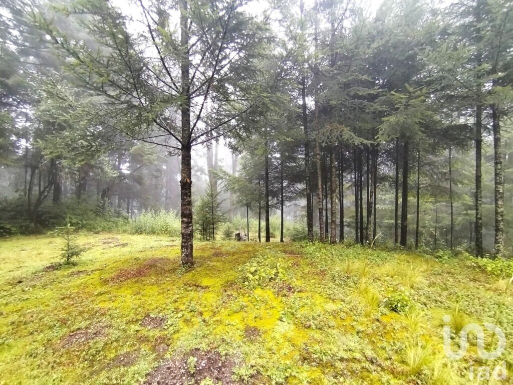 Terreno comunal a pie de carretera en Ajusco | Cesión de derechos | Uso recreativo