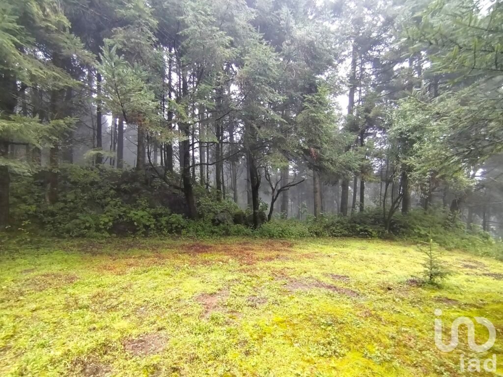 Terreno comunal a pie de carretera en Ajusco | Cesión de derechos | Uso recreativo
