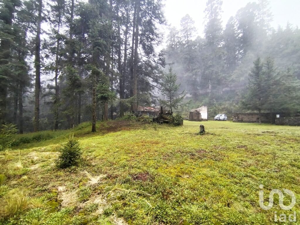 Terreno comunal a pie de carretera en Ajusco | Cesión de derechos | Uso recreativo