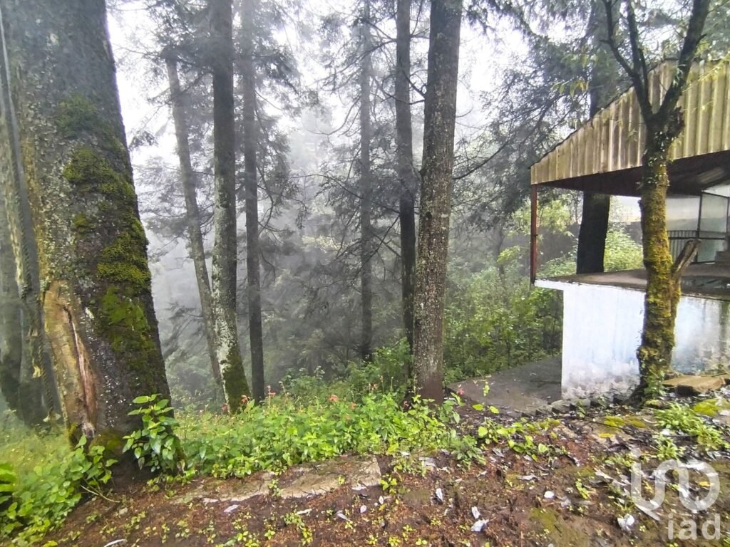 Terreno comunal a pie de carretera en Ajusco | Cesión de derechos | Uso recreativo