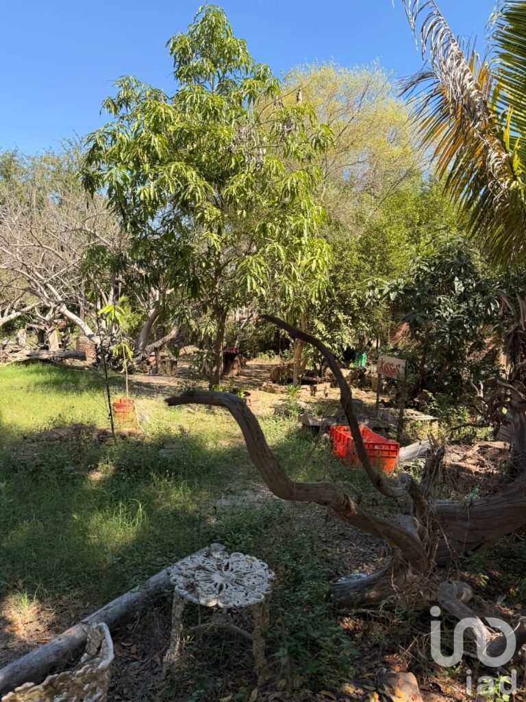 terreno en venta col. las cucas a 350 m. Sanchez Alonso Culiacán Oportunidad