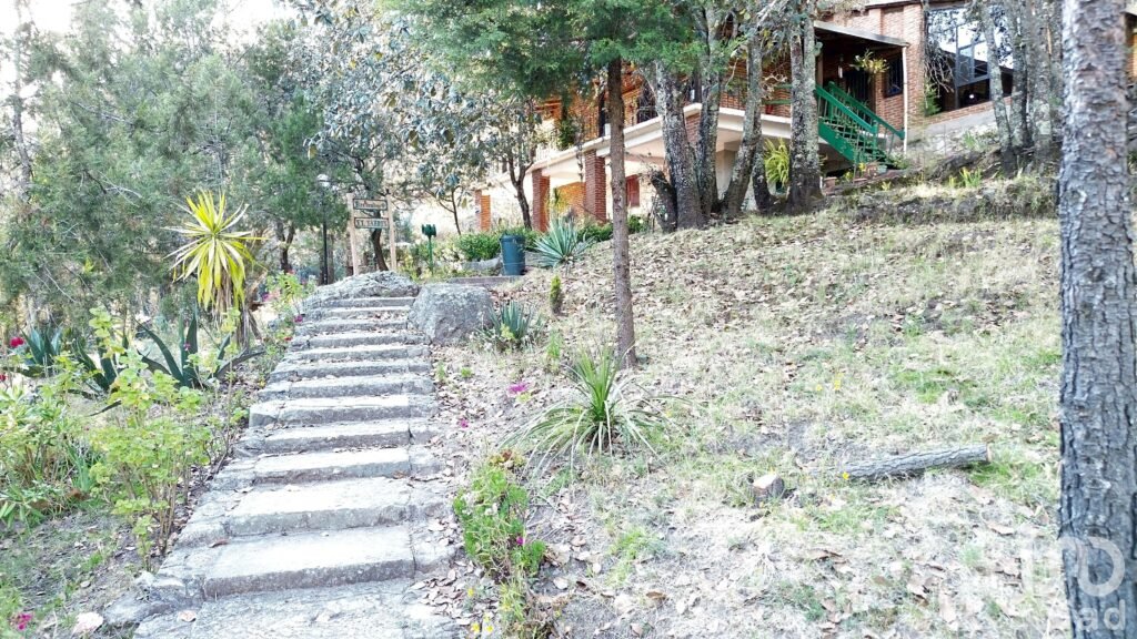 Terreno de 32.5 hectareas con cabaña en el pueblo Mágico de  Mineral del Monte