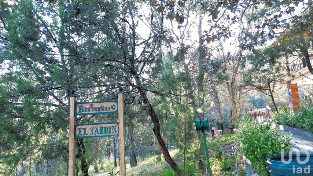 Terreno de 32.5 hectareas con cabaña en el pueblo Mágico de  Mineral del Monte