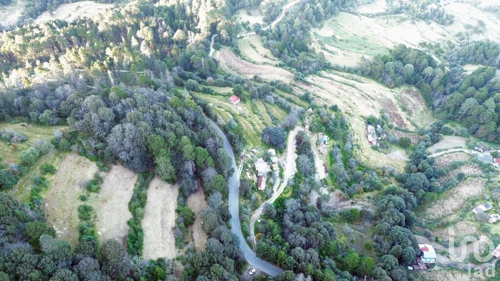 Terreno de 32.5 hectareas con cabaña en el pueblo Mágico de  Mineral del Monte