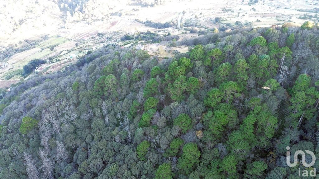 Terreno de 32.5 hectareas con cabaña en el pueblo Mágico de  Mineral del Monte