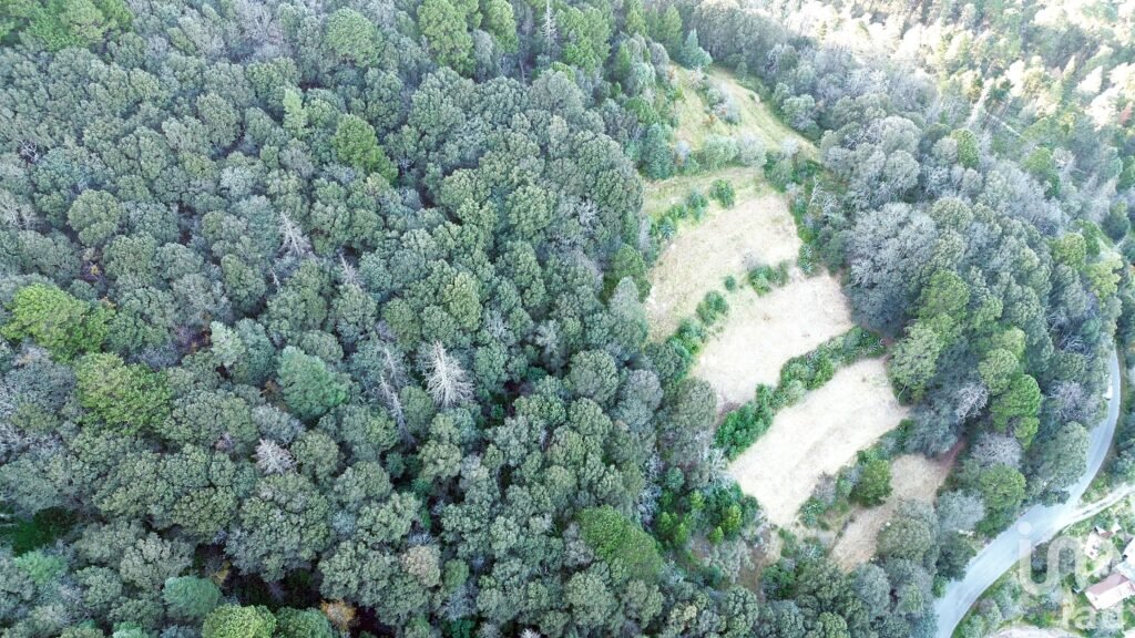 Terreno de 32.5 hectareas con cabaña en el pueblo Mágico de  Mineral del Monte