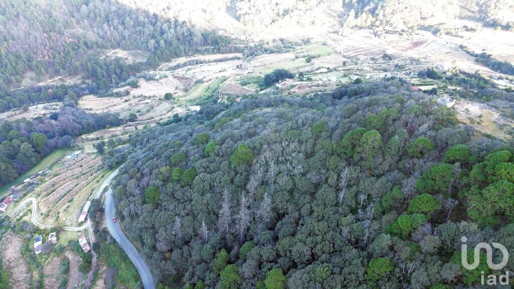 Terreno de 32.5 hectareas con cabaña en el pueblo Mágico de  Mineral del Monte