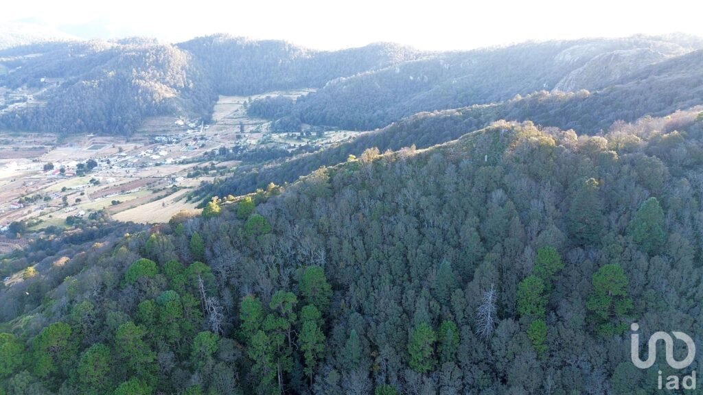 Terreno de 32.5 hectareas con cabaña en el pueblo Mágico de  Mineral del Monte
