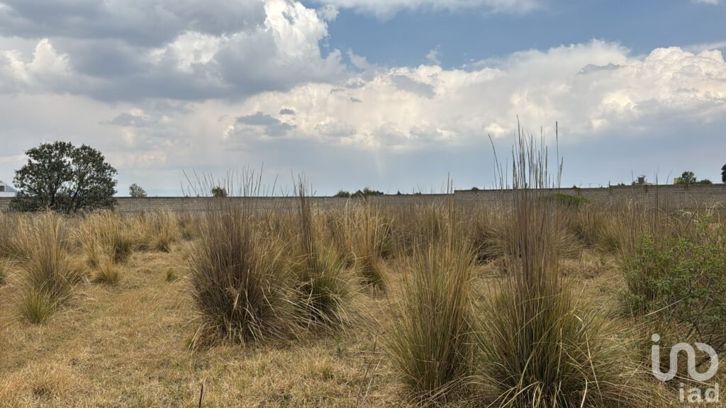 Terreno en Venta en Cacalomacán, Rancho San Miguel, Zacango, Toluca México.