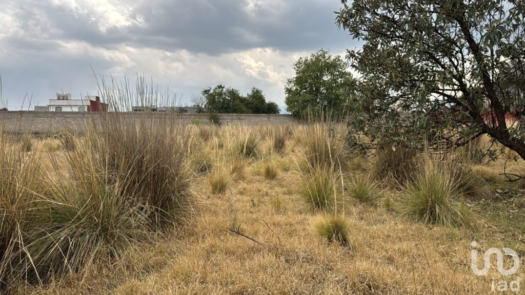 Terreno en Venta en Cacalomacán, Rancho San Miguel, Zacango, Toluca México.
