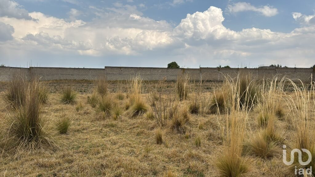 Terreno en Venta en Cacalomacán, Rancho San Miguel, Zacango, Toluca México.