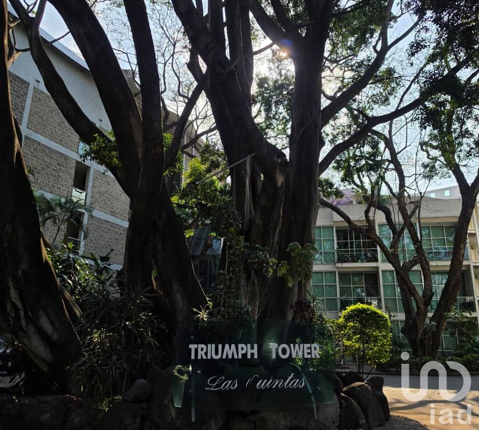 Departamento tipo loft en renta, Triumph Towers, Cuernavaca