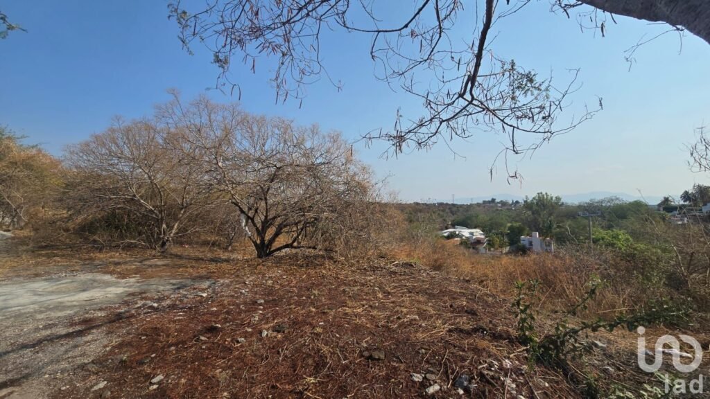 OPORTUNIDAD DE LOTE EN VENTA EN SANTA FE, MORELOS XOCHITEPEC