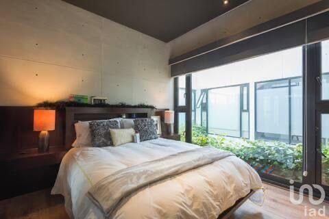 Se vende Departamento  PH duplex  con hermosas terrazas en la calle de Monterrey  Col Roma