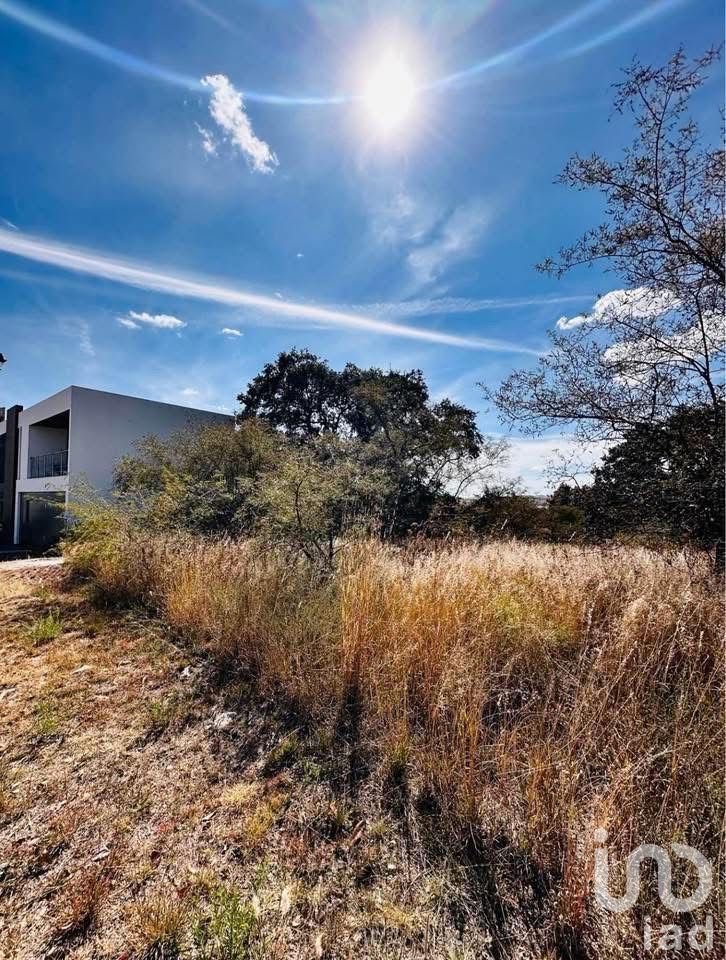 Terreno en Venta en Haras del Bosque