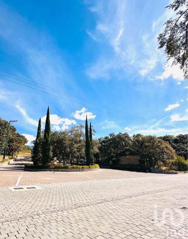 Terreno en Venta en Haras del Bosque