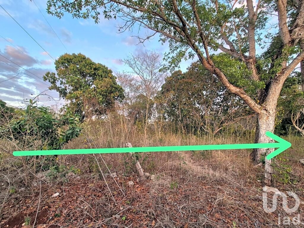 TERRENO EN VENTA, TENABO CAMPECHE