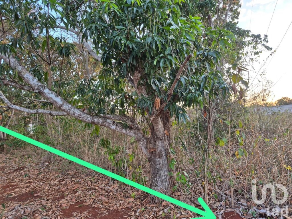 TERRENO EN VENTA, TENABO CAMPECHE