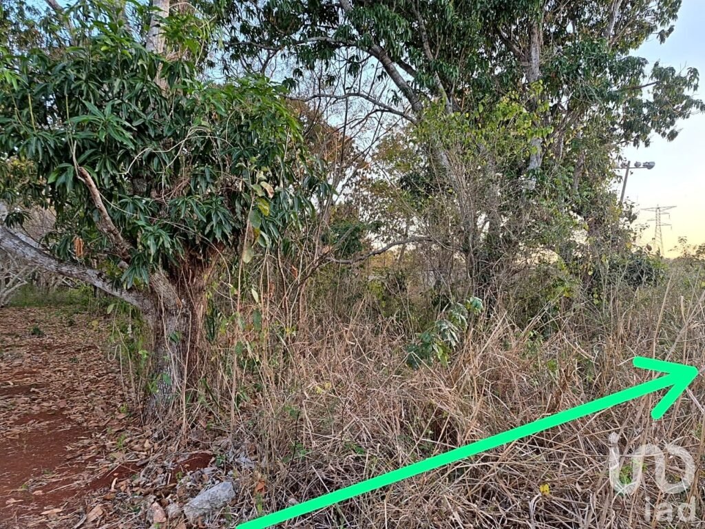 TERRENO EN VENTA, TENABO CAMPECHE
