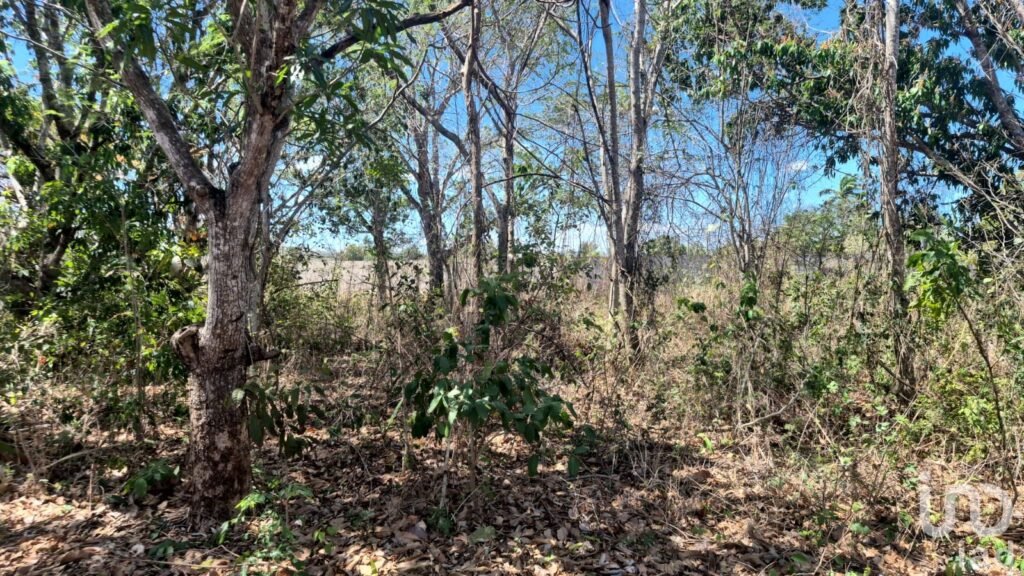 TERRENO EN VENTA, TENABO CAMPECHE