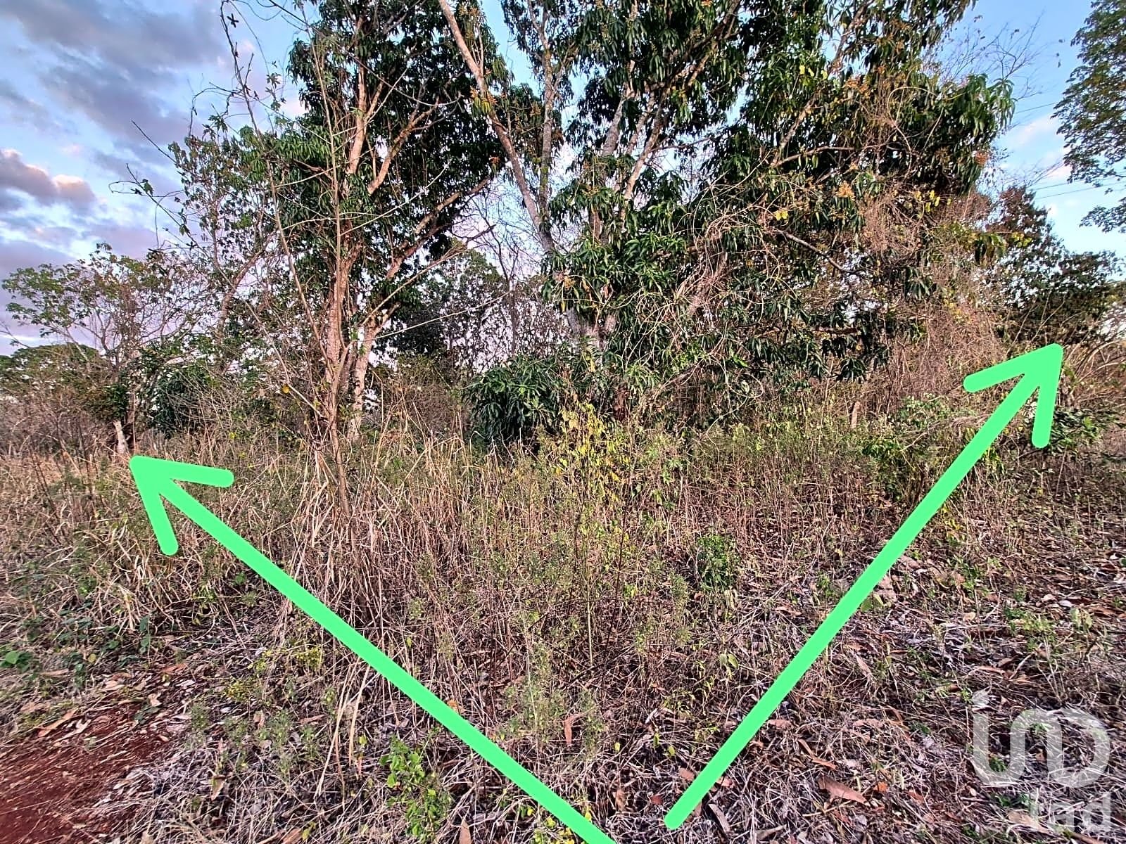 TERRENO EN VENTA, TENABO CAMPECHE