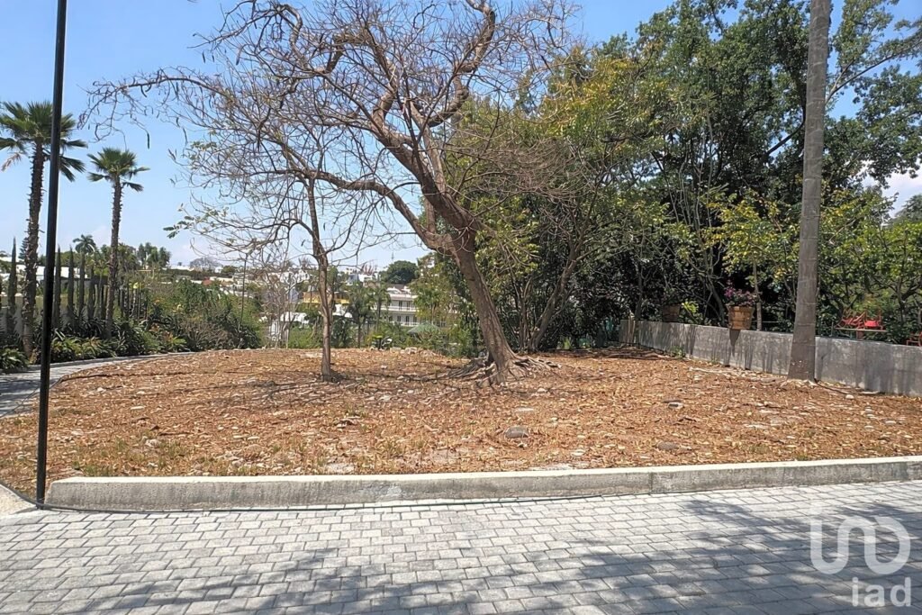Terreno en Residencial  Acapantzingo de  240 m2 en zona premium