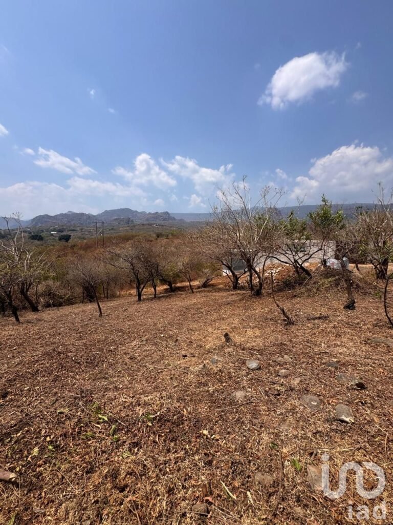 Terreno en Venta en Amatlán de Quetzalcóatl, con vistas a las montañas.